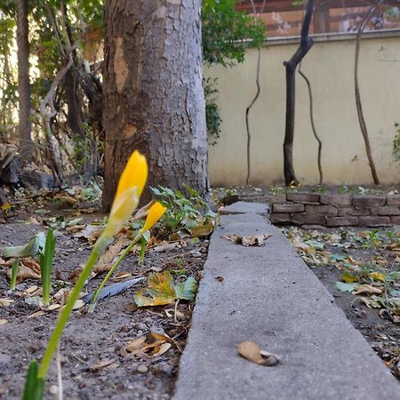 Charming Central Home With Garden Near Parking And Ndk 索菲亞 外观 照片