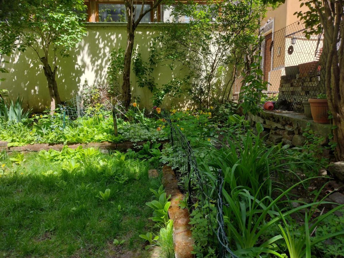Charming Central Home With Garden Near Parking And Ndk 索菲亞 外观 照片