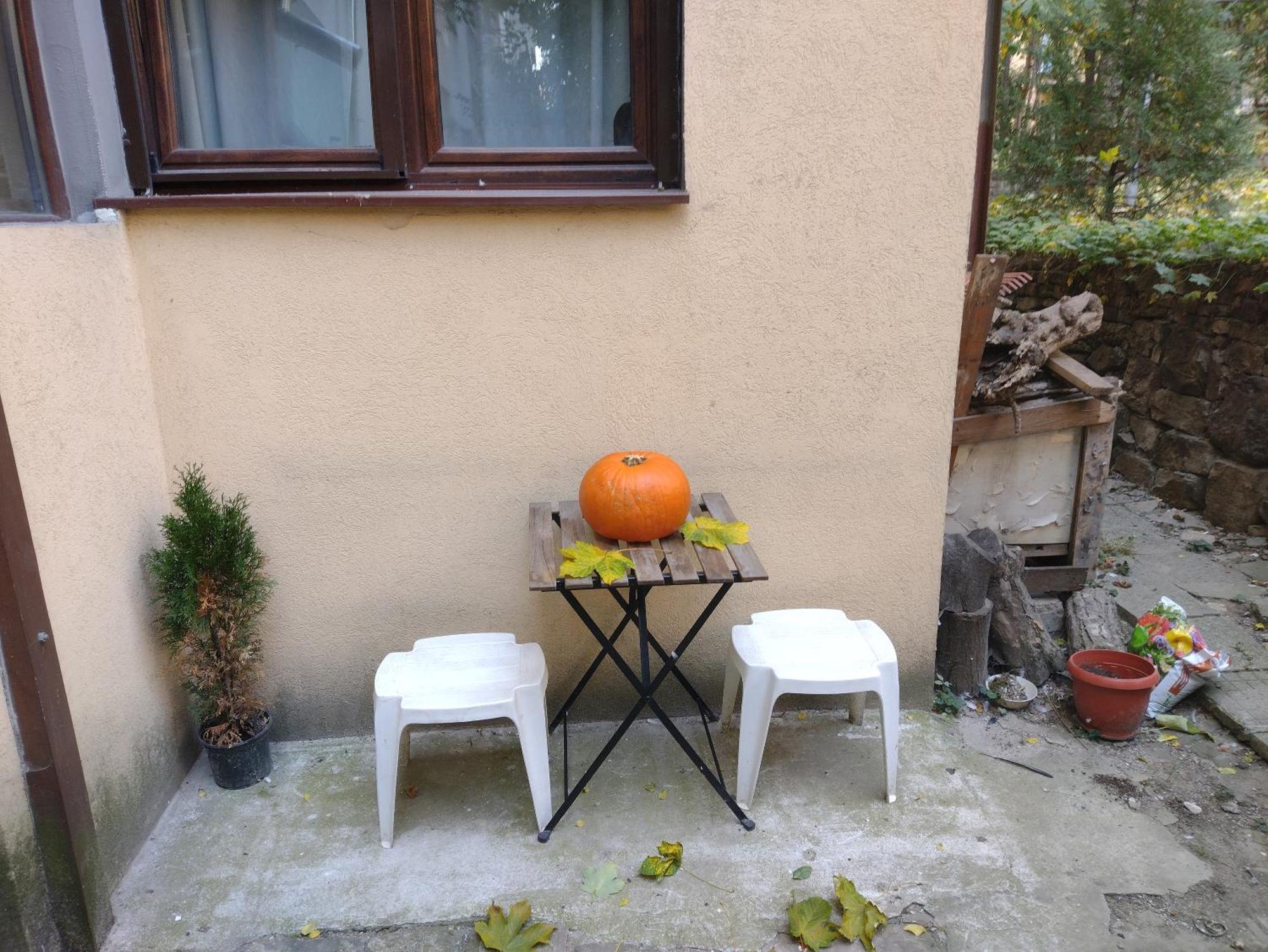 Charming Central Home With Garden Near Parking And Ndk 索菲亞 外观 照片