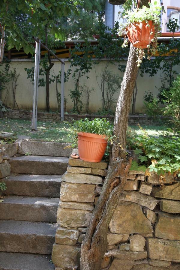 Charming Central Home With Garden Near Parking And Ndk 索菲亞 外观 照片